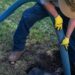 septic to sewer conversion