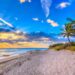 Sunny South Beach with palm trees and ocean waves in winter Miami.